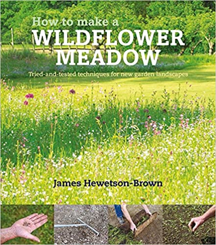 How to Make a Wildflower Meadow