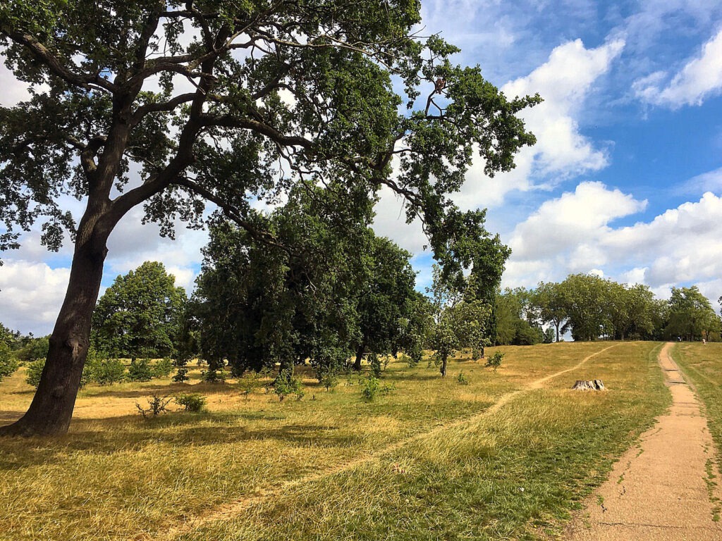 Gladstone Park